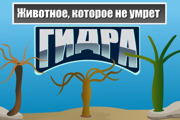 Кракен современный маркетплейс