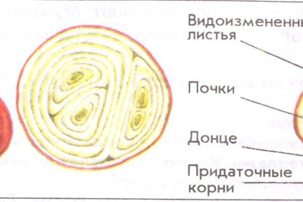 Как пополнить кракен